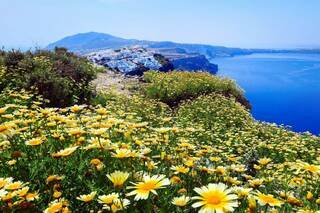 bigstock-Santorini-Greece-Spring-Panor-303681469_1
