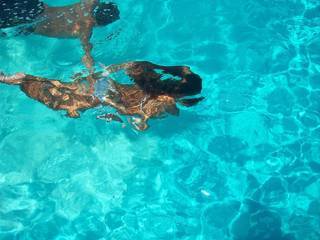 underwater-3-1366149-1280x960